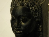 Tn  DSC0398